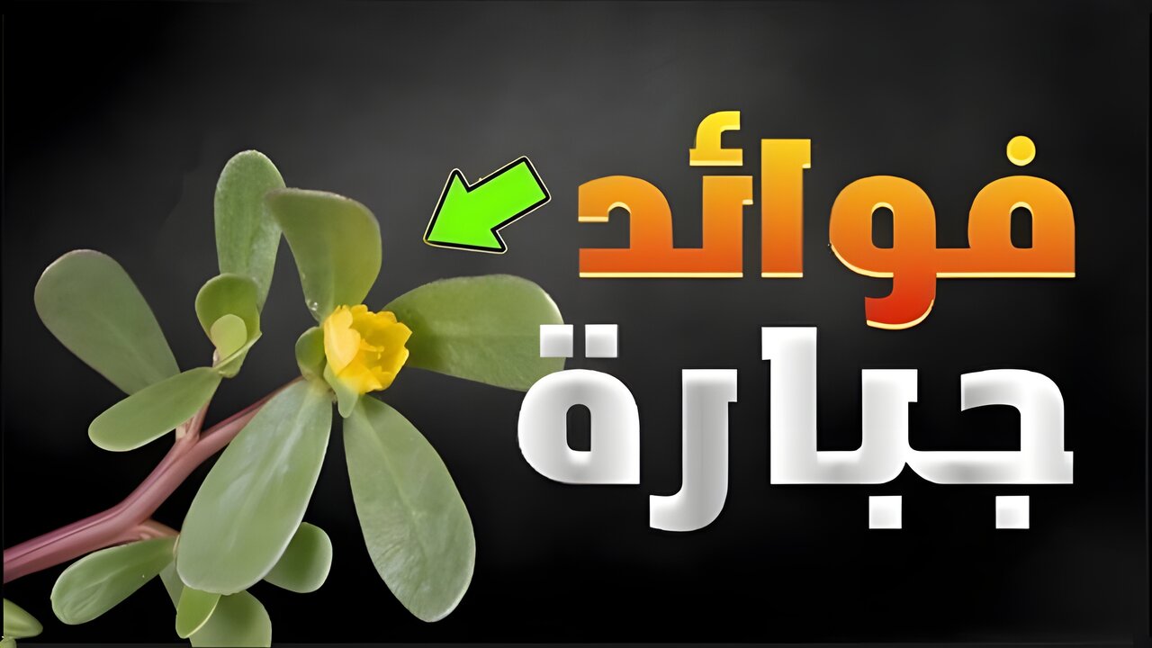 قناع الرجلة للبشرة