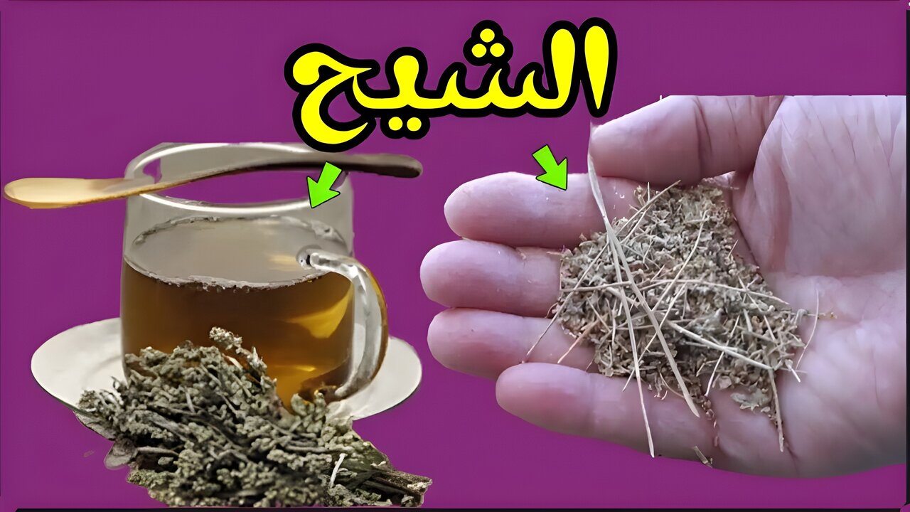 غسول الشيح للشعر