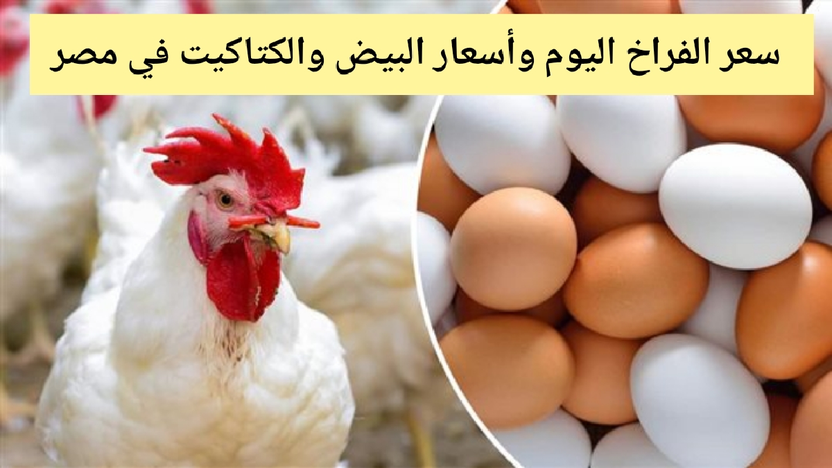 سعر الفراخ اليوم