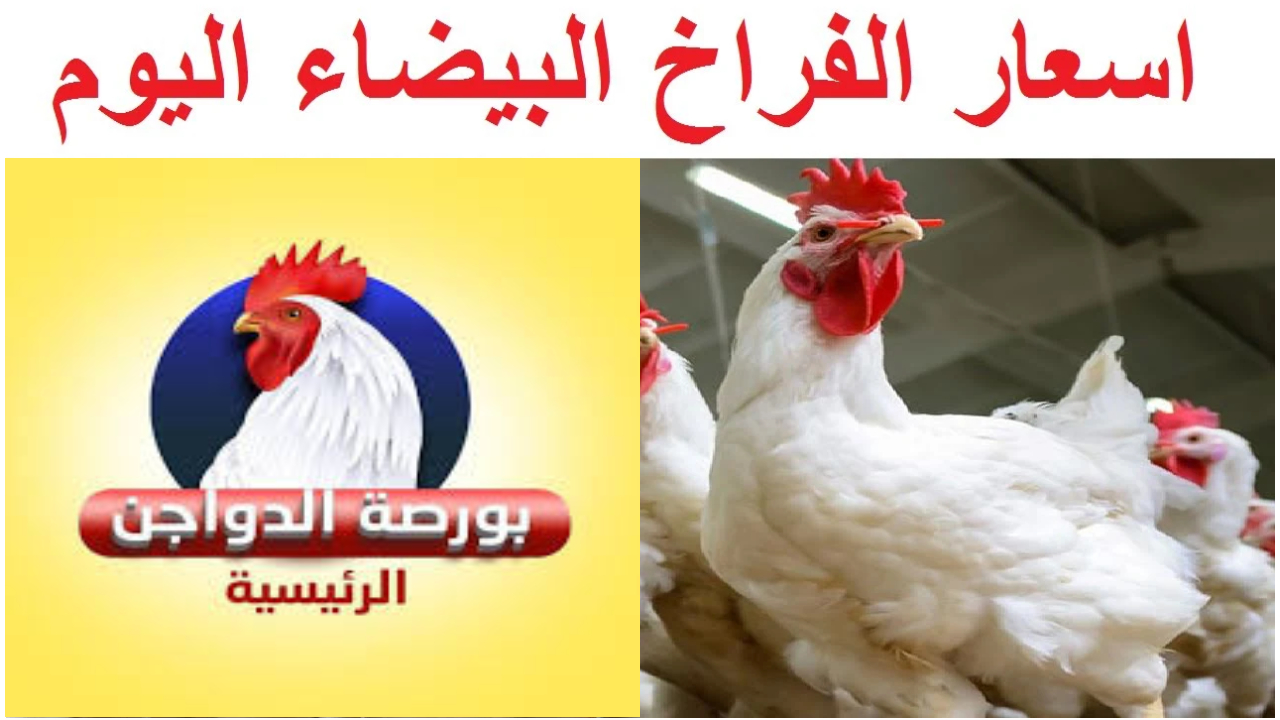 اسعار بورصة الدواجن اليوم
