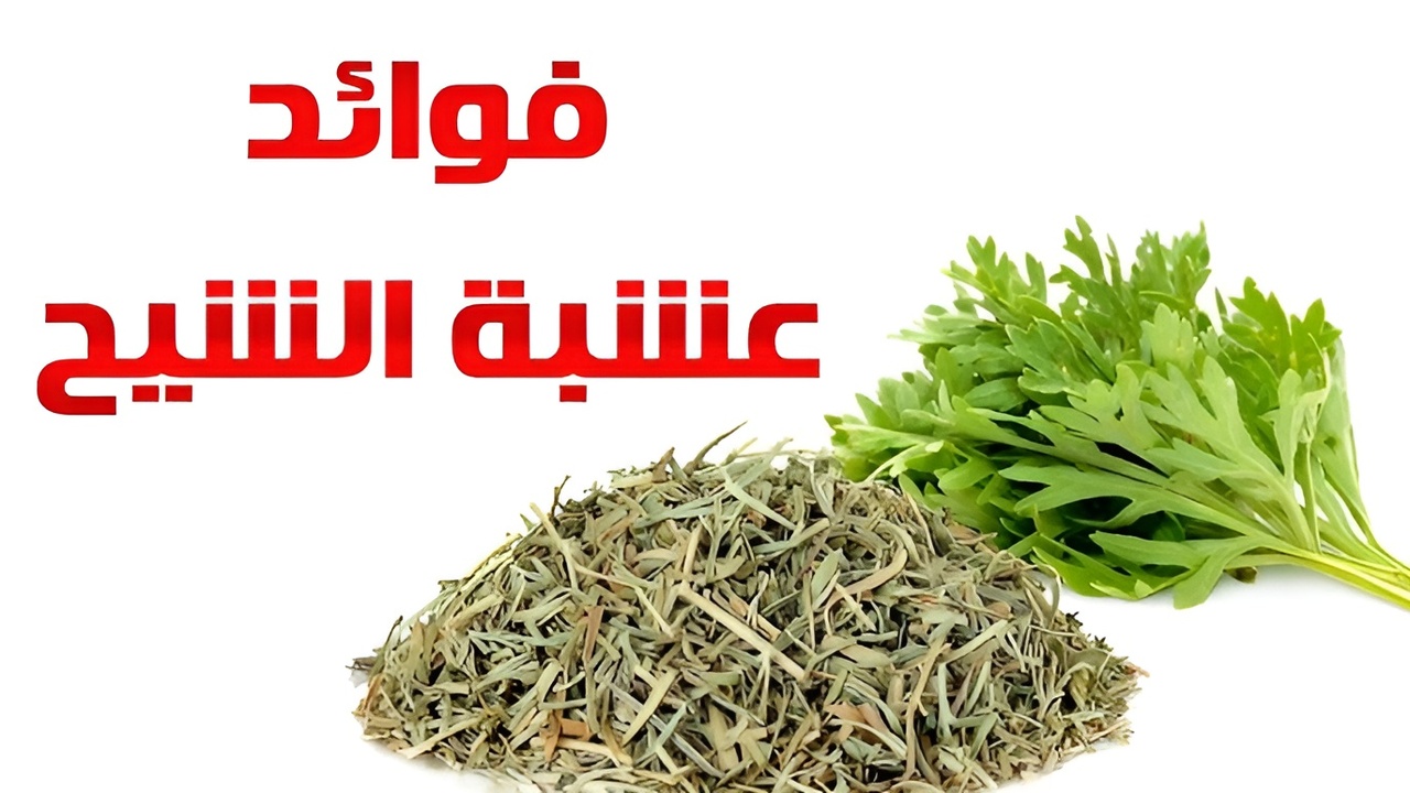 مغلي الشيح للشعر