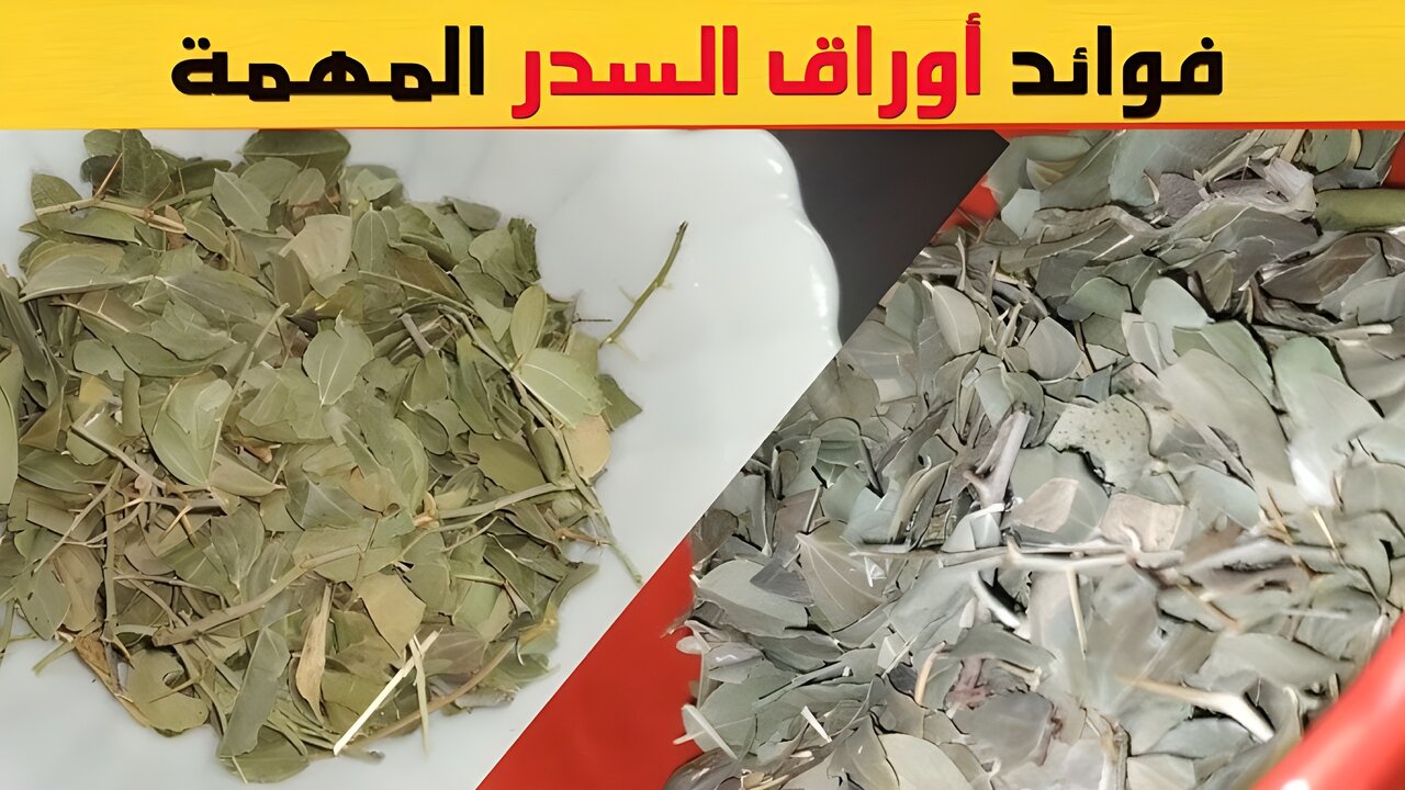 ماسك السدر للشعر