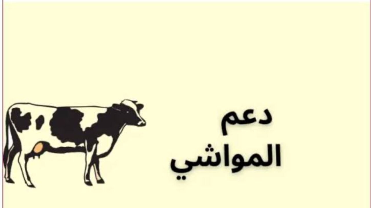 شروط دعم المواشي 1446
