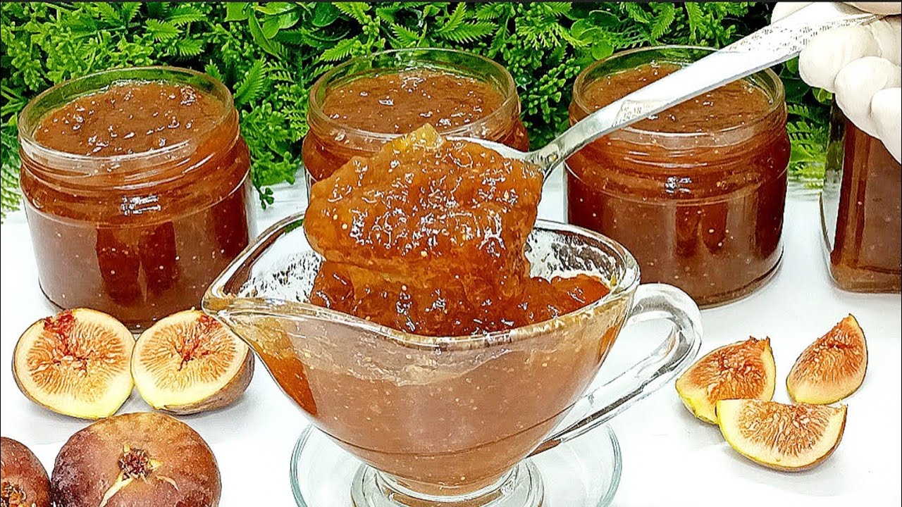 مربى التين