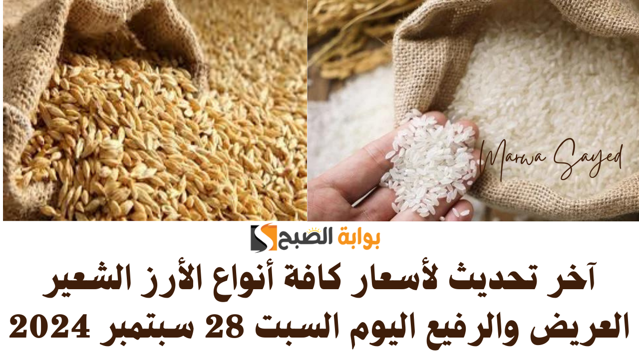 أسعار أنواع الأرز الشعير العريض والرفيع اليوم السبت 28 سبتمبر 2024