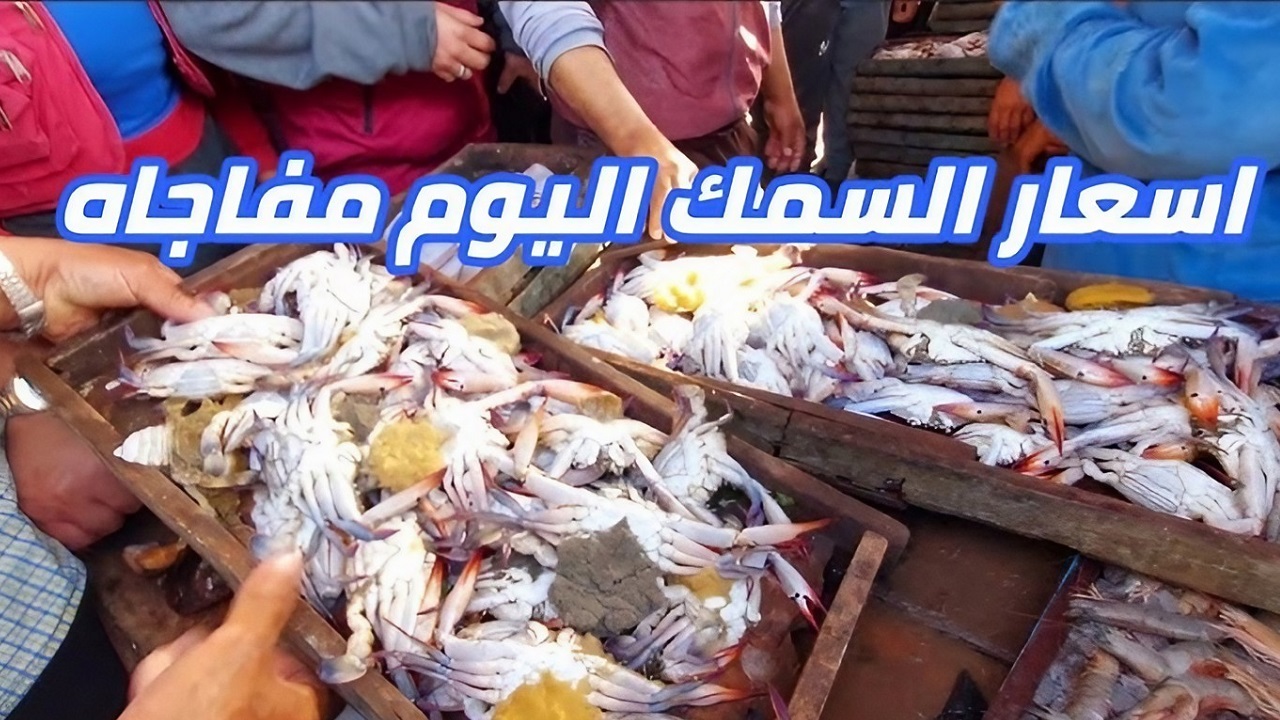 أسعار الجمبري والسمك بجميع أنواعه اليوم الأربعاء 4 سبتمبر 2024