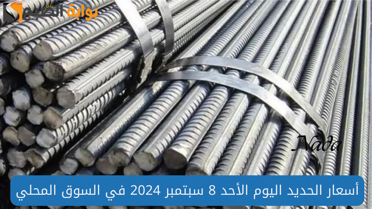 أسعار الحديد اليوم في مصر
