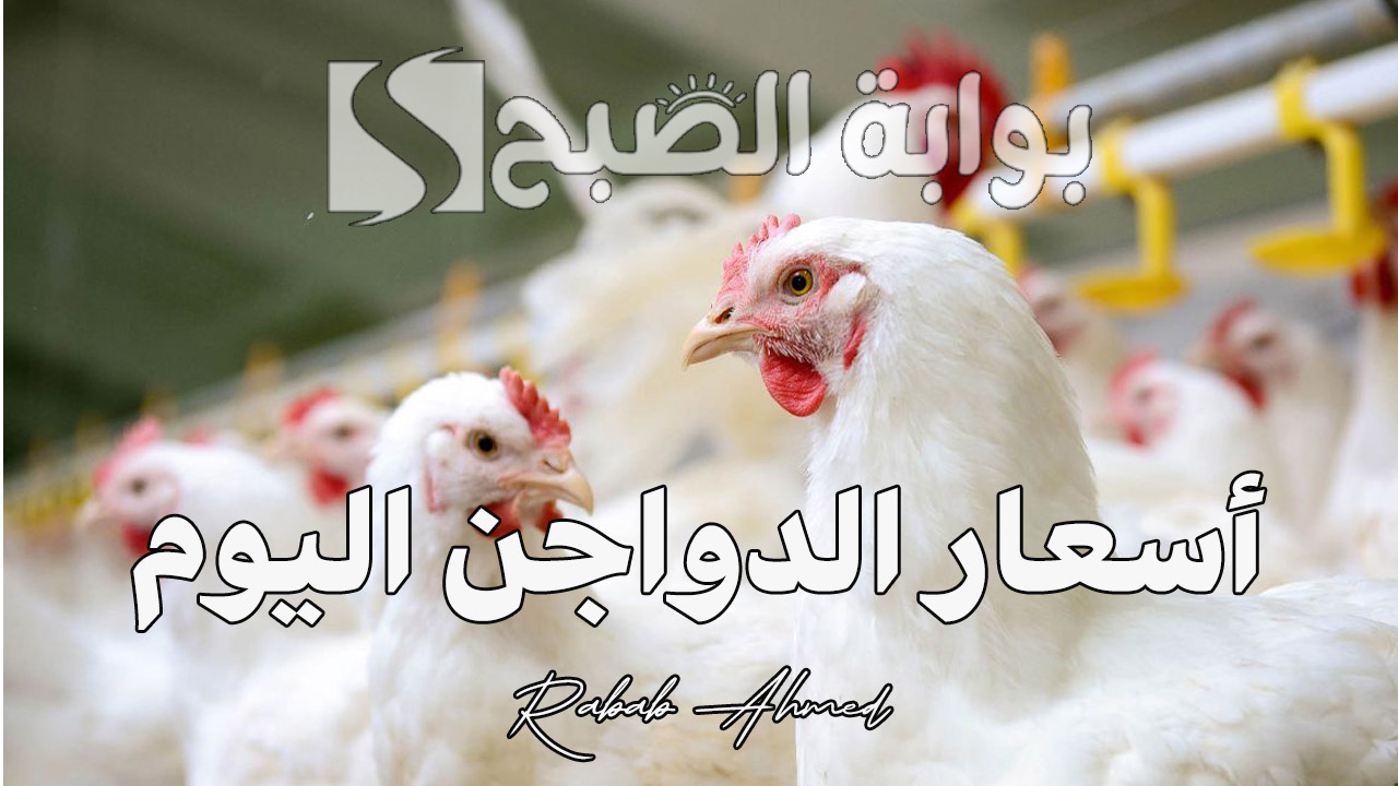 أسعار الدواجن اليوم