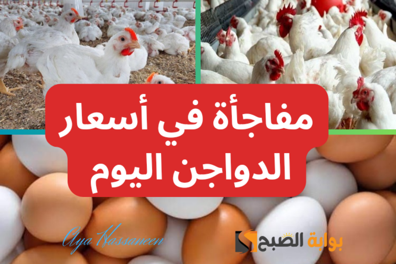 أسعار الدواجن اليوم