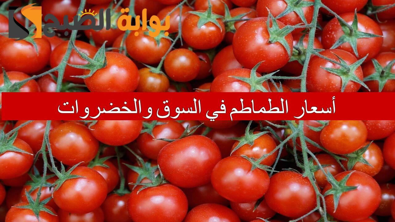 أسعار الطماطم في السوق والخضروات
