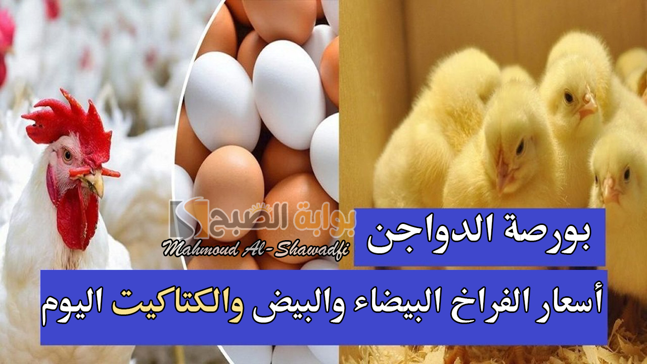 أسعار الفراخ البيضاء والبيض والكتاكيت اليوم