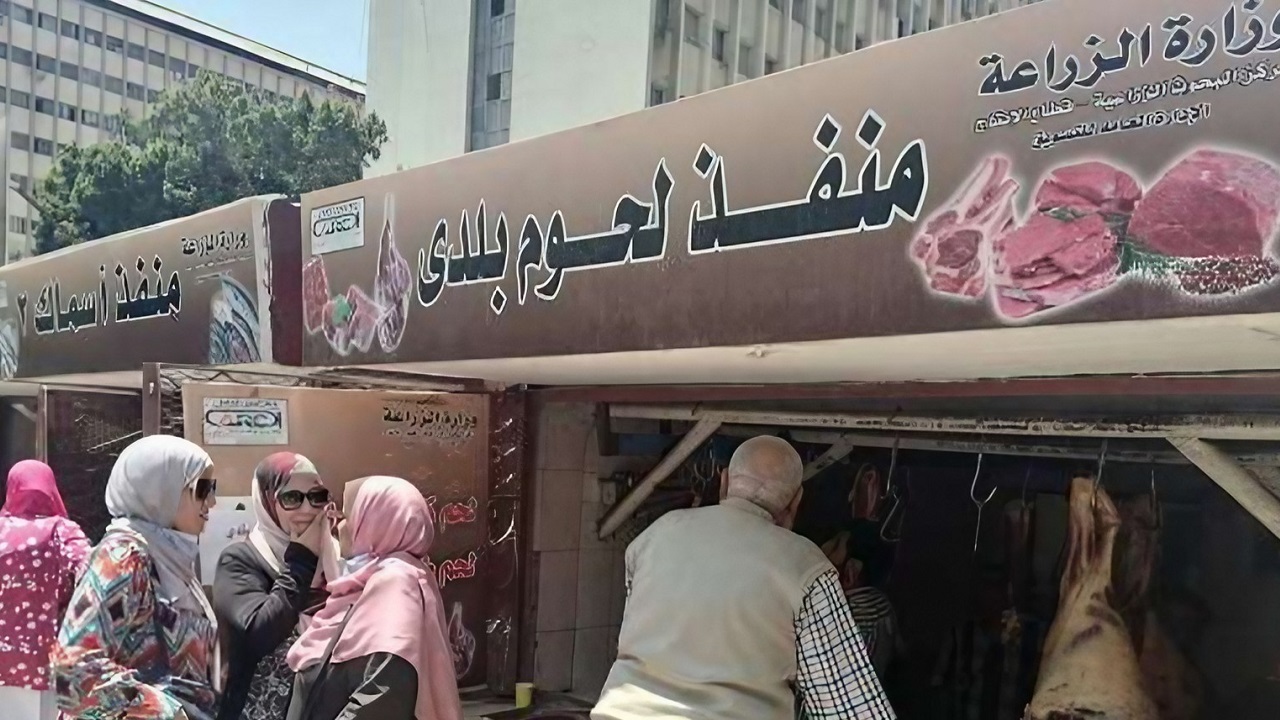 أسعار اللحوم اليوم الجمعة 13 سبتمبر 2024 في الأسواق ومنافذ وزارتي الزراعة والتموين