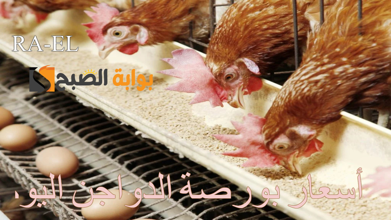 أسعار بورصة الدواجن اليوم