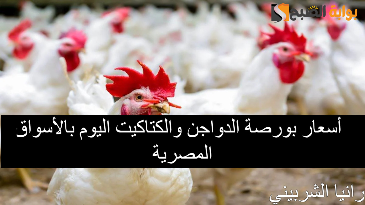 أسعار بورصة الدواجن اليوم