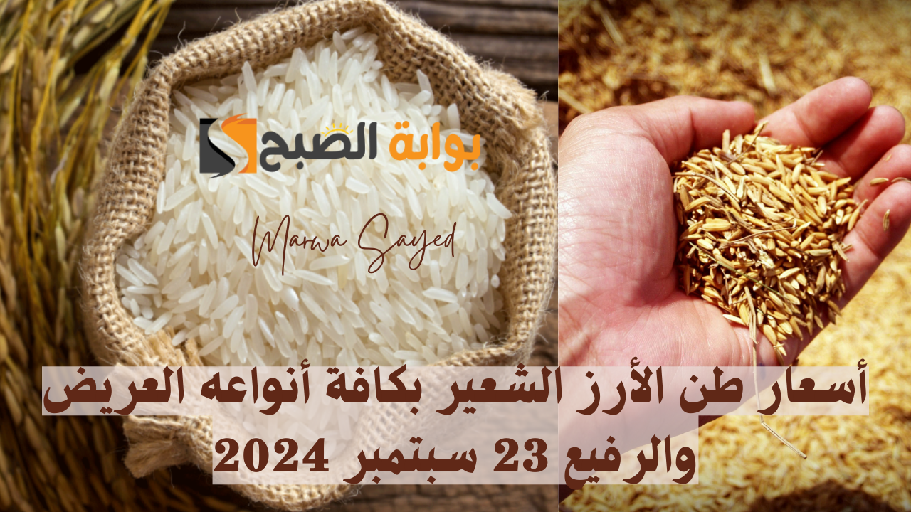 أسعار طن الأرز الشعير بكافة أنواعه العريض والرفيع 23 سبتمبر 2024