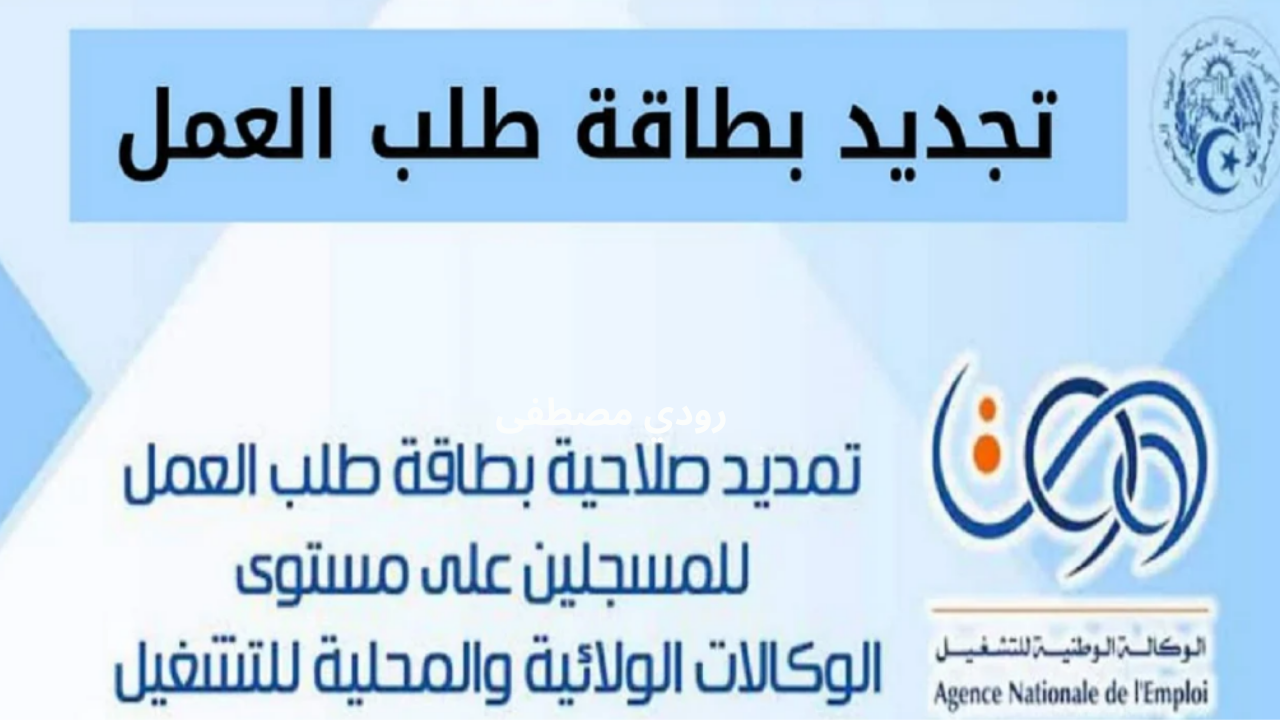 الحكومة الجزائرية تدعم العاطلين عن العمل عبر خدمة تجديد بطاقة طلب العمل