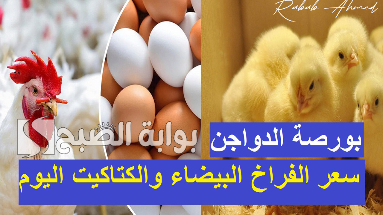 اسعار الدواجن اليوم السبت