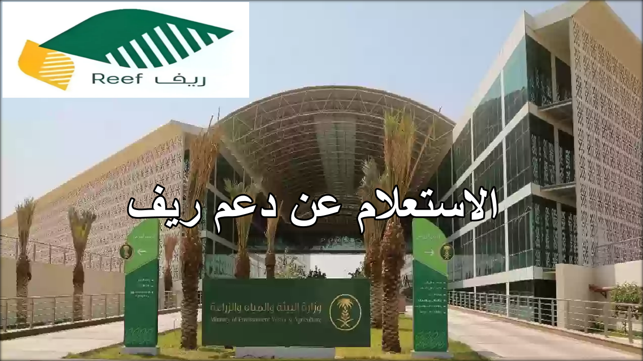 الاستعلام عن دعم ريف