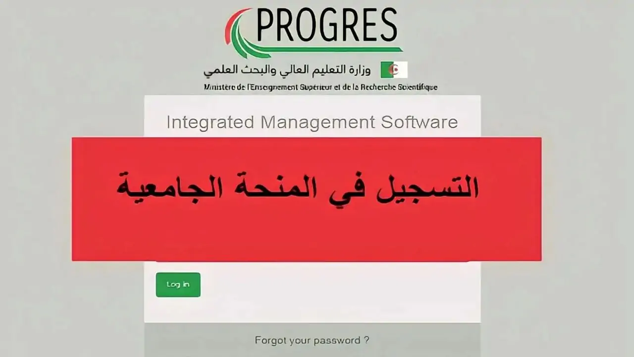 “وزارة التعليم العالي”.. تطلق رابط التسجيل في المنحة الجامعية 2024 بالجزائر والمستندات المطلوبة للتقديم