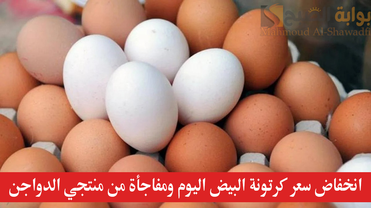 انخفاض سعر كرتونة البيض اليوم ومفاجأة من منتجي الدواجن
