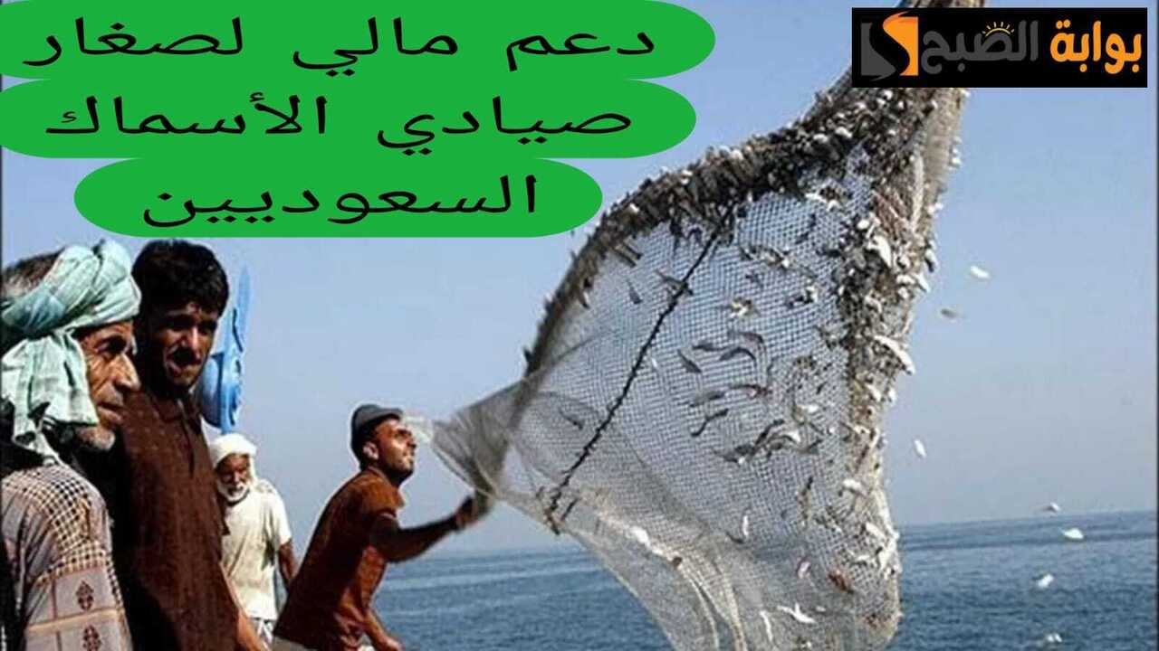 برنامج الدعم المالي المباشر للصغار