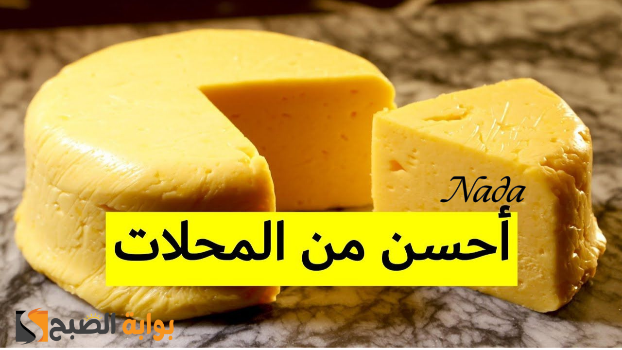 تحضير الجبنة الرومي في المنزل