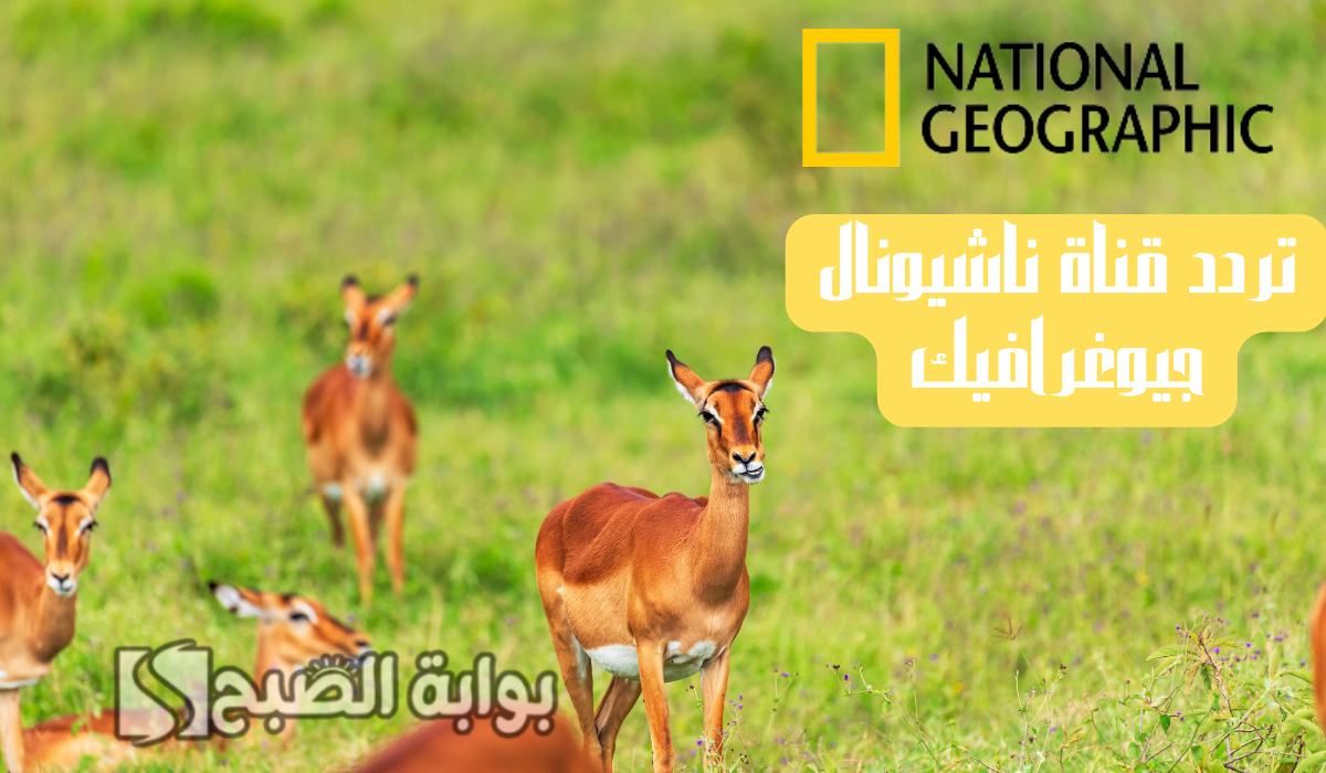 تردد قناة ناشيونال جيوغرافيك