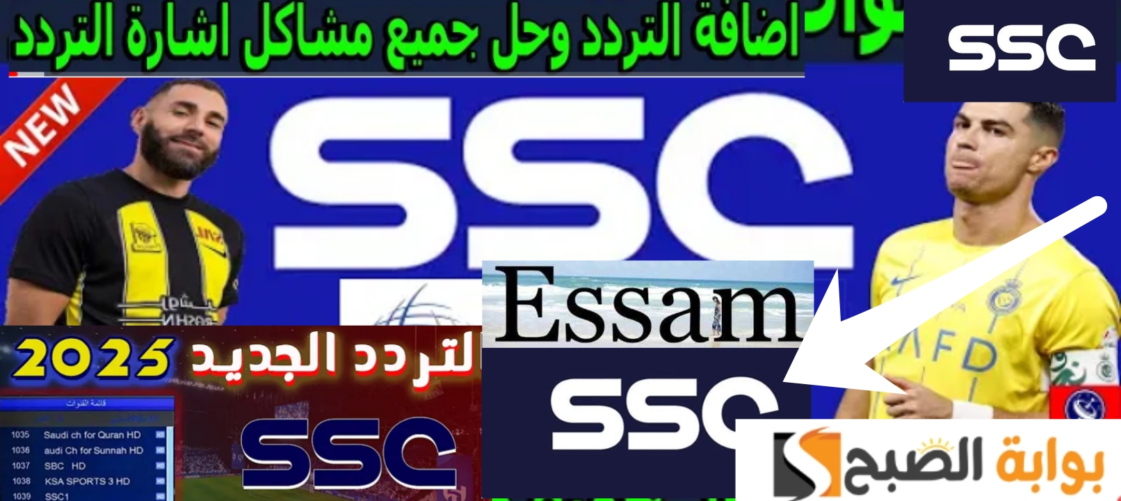 تردد قناةssc الرياضية 2024