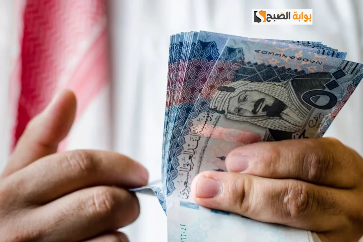تمويل فينزي
