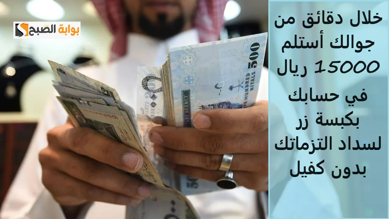 تمويل فينزي