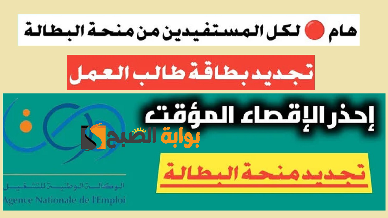 رابط تجديد منحة البطالة 2024 بالجزائر