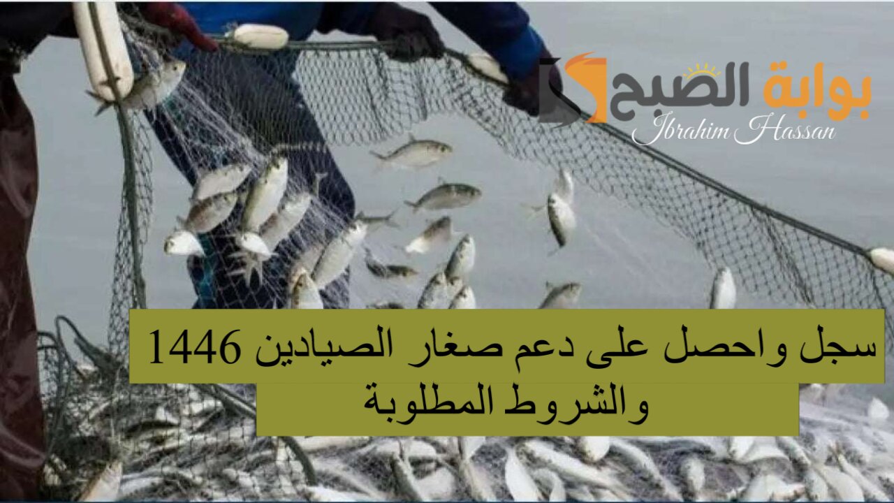 سجل واحصل على دعم صغار الصيادين 1446 والشروط المطلوبة
