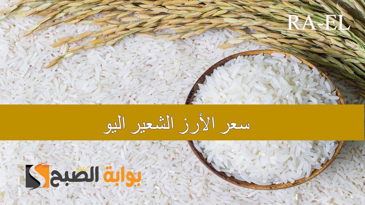 سعر الأرز الشعير اليوم
