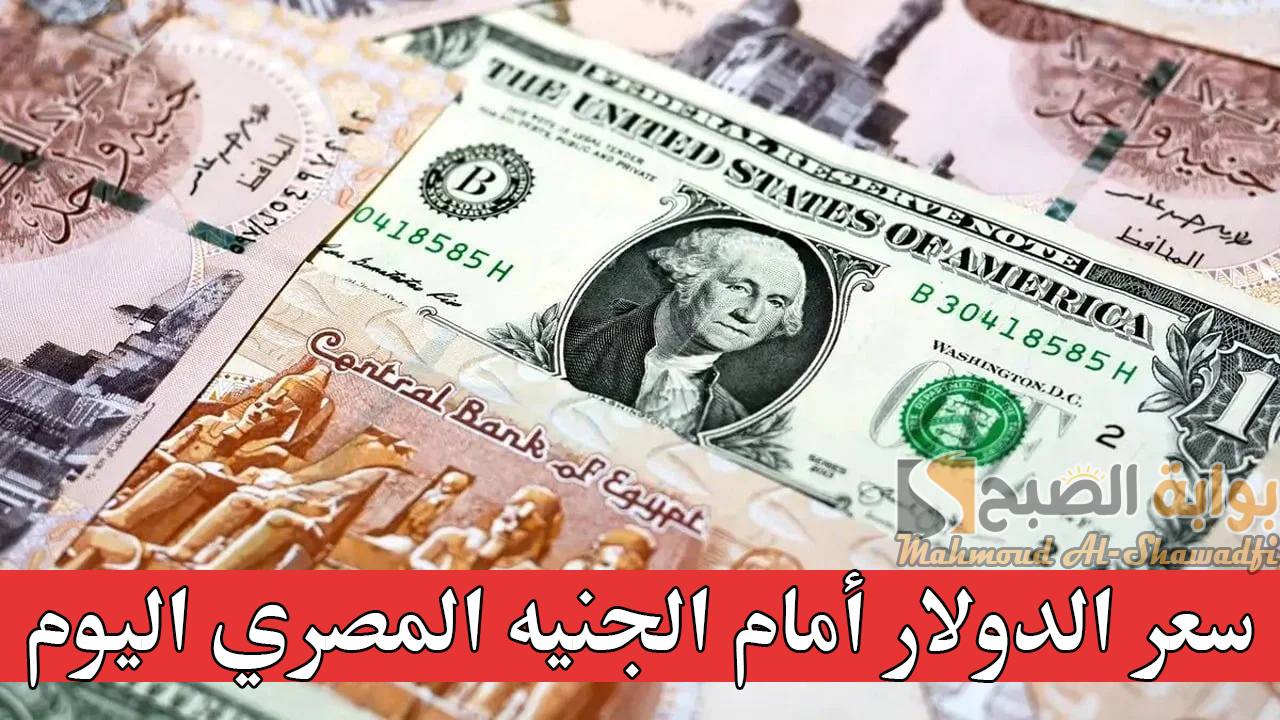 سعر الدولار أمام الجنيه المصري اليوم