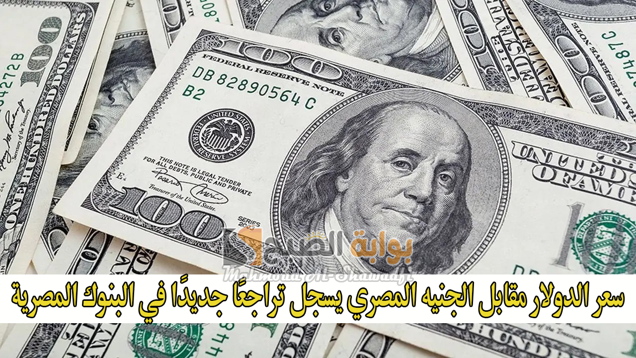 سعر الدولار مقابل الجنيه المصري يسجل تراجعًا جديدًا في البنوك المصرية