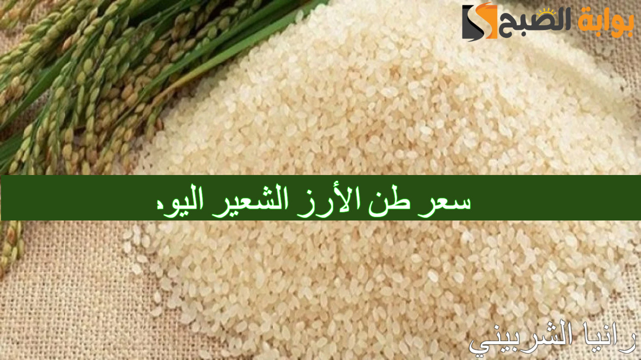 سعر طن الأرز الشعير اليوم
