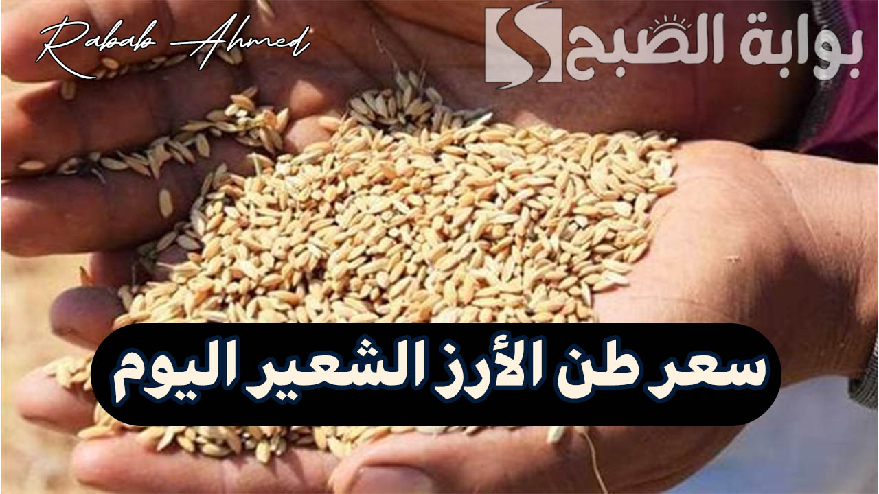سعر طن الأرز الشعير اليوم