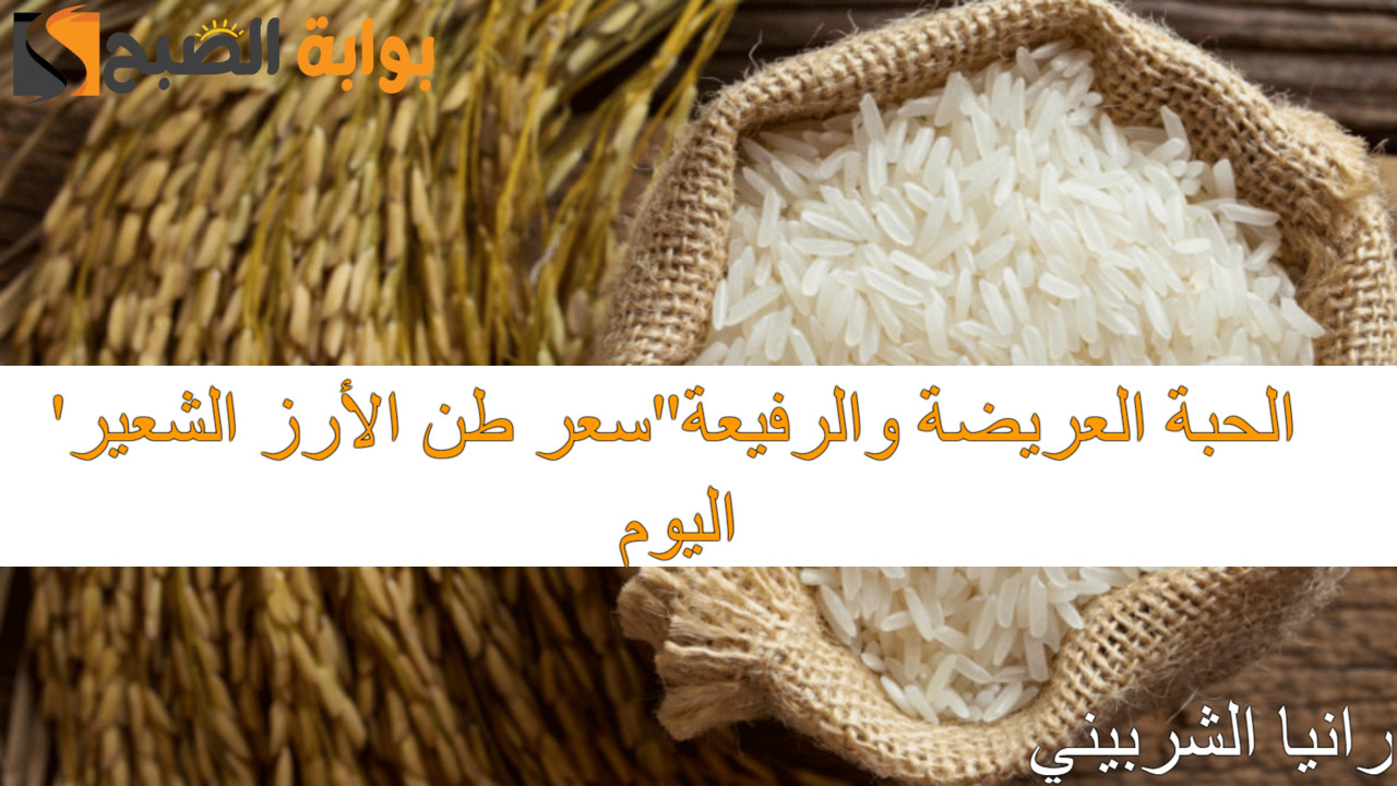 سعر طن الأرز الشعير اليوم