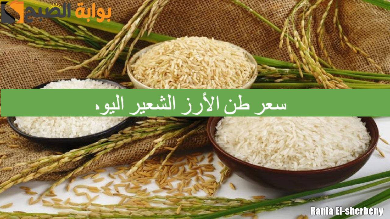 سعر طن الأرز الشعير اليوم