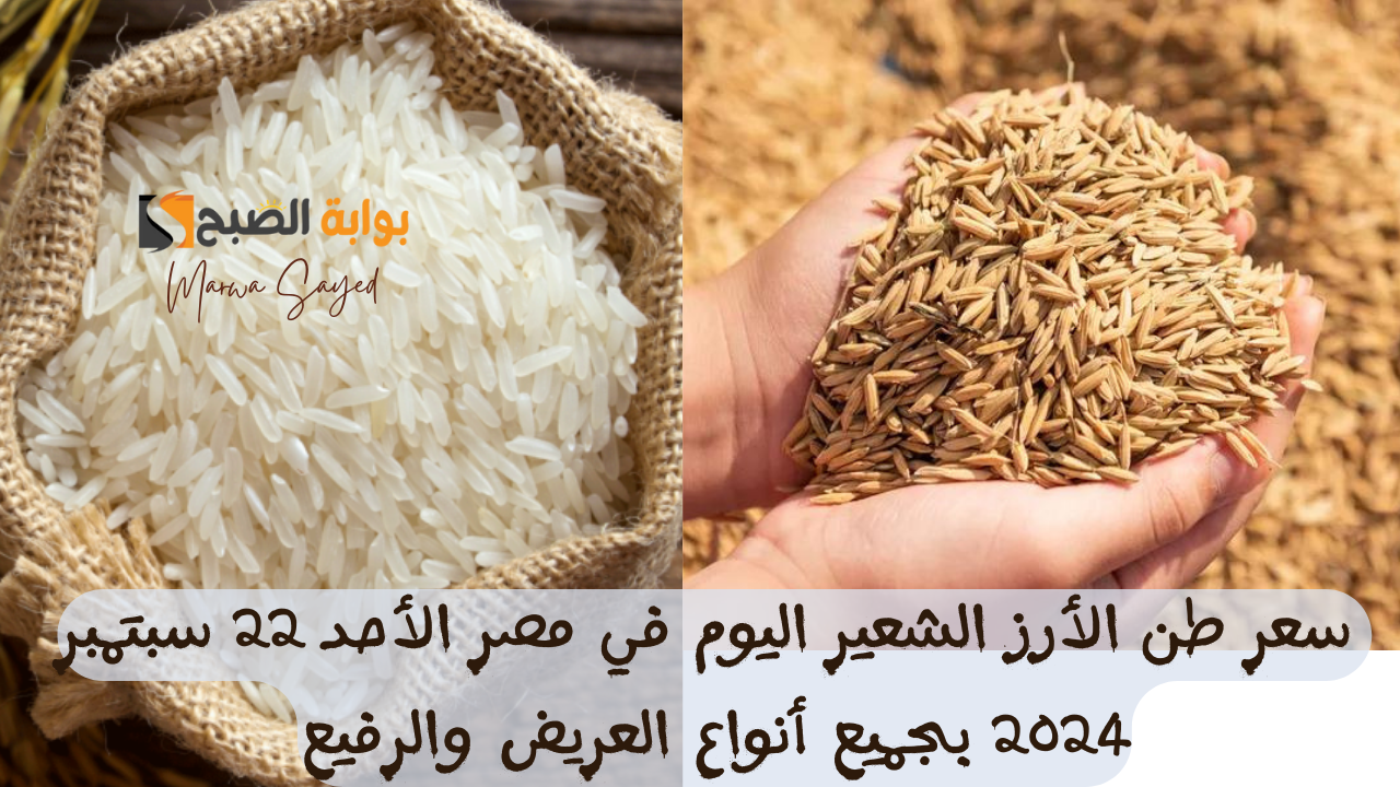 سعر طن الأرز الشعير اليوم في مصر الأحد 22 سبتمبر 2024 بجميع أنواع العريض والرفيع