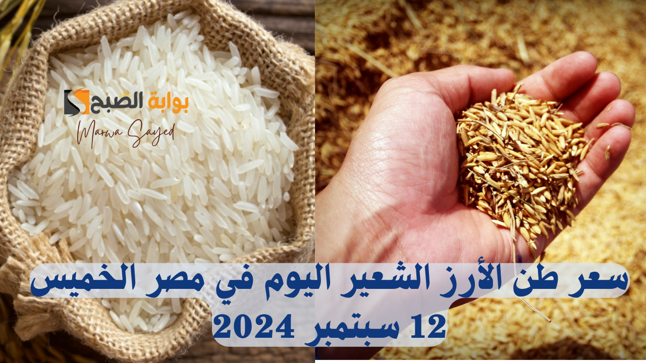 سعر طن الأرز الشعير اليوم في مصر الخميس 12 سبتمبر 2024