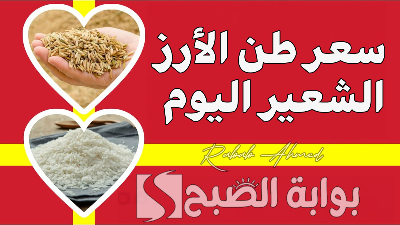 سعر طن الأرز الشعير اليوم