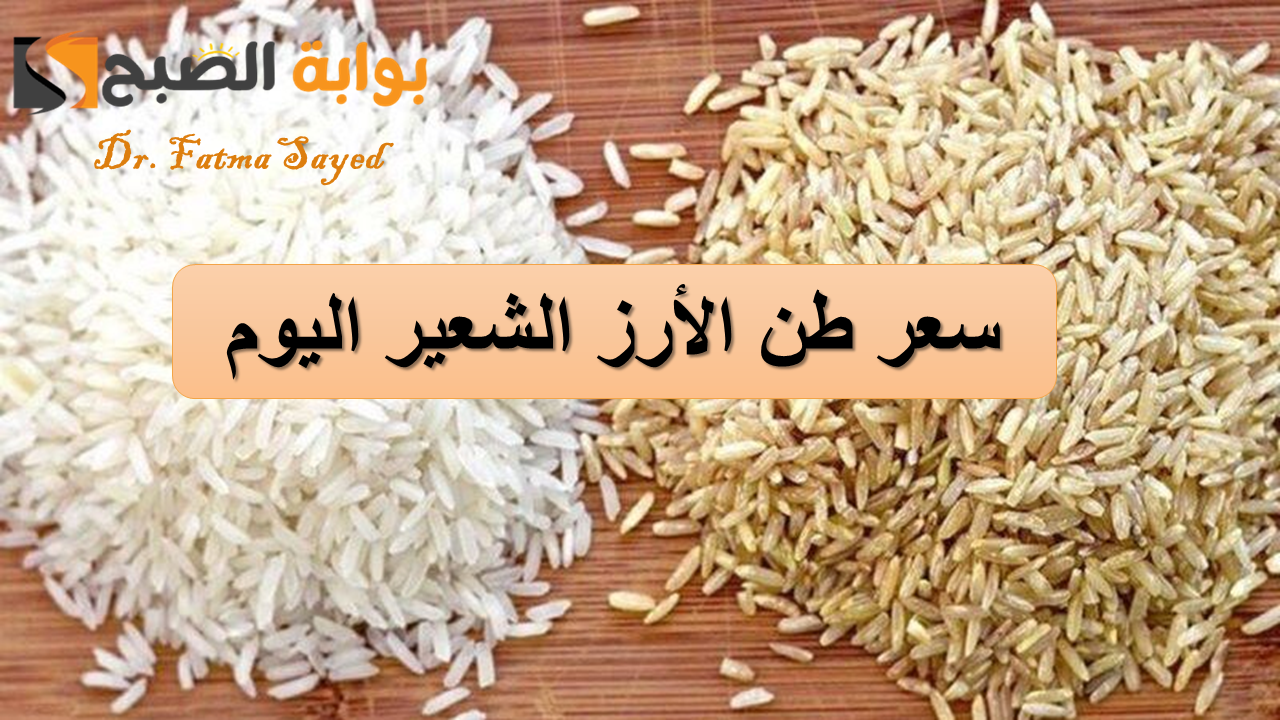 سعر طن الأرز الشعير في مصر