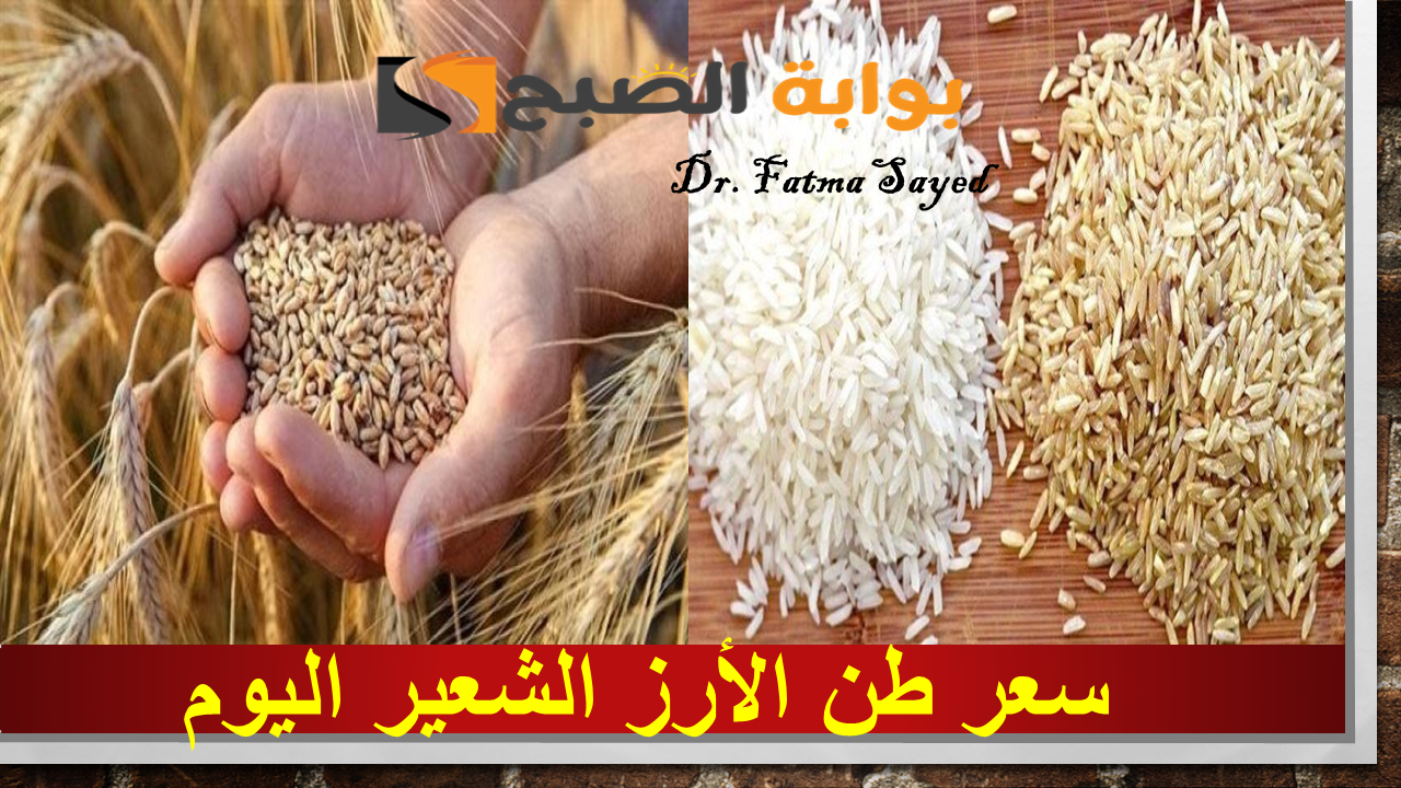 سعر طن الأرز الشعير