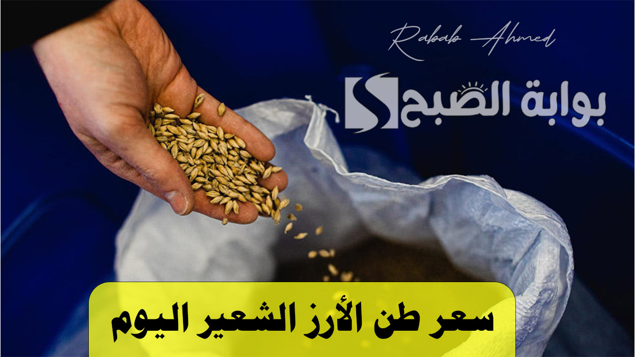 سعر طن الارز الشعير اليوم