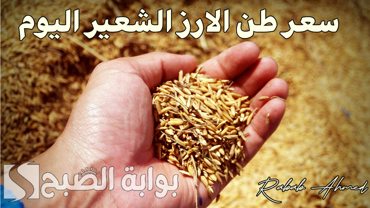 سعر طن الارز الشعير اليوم