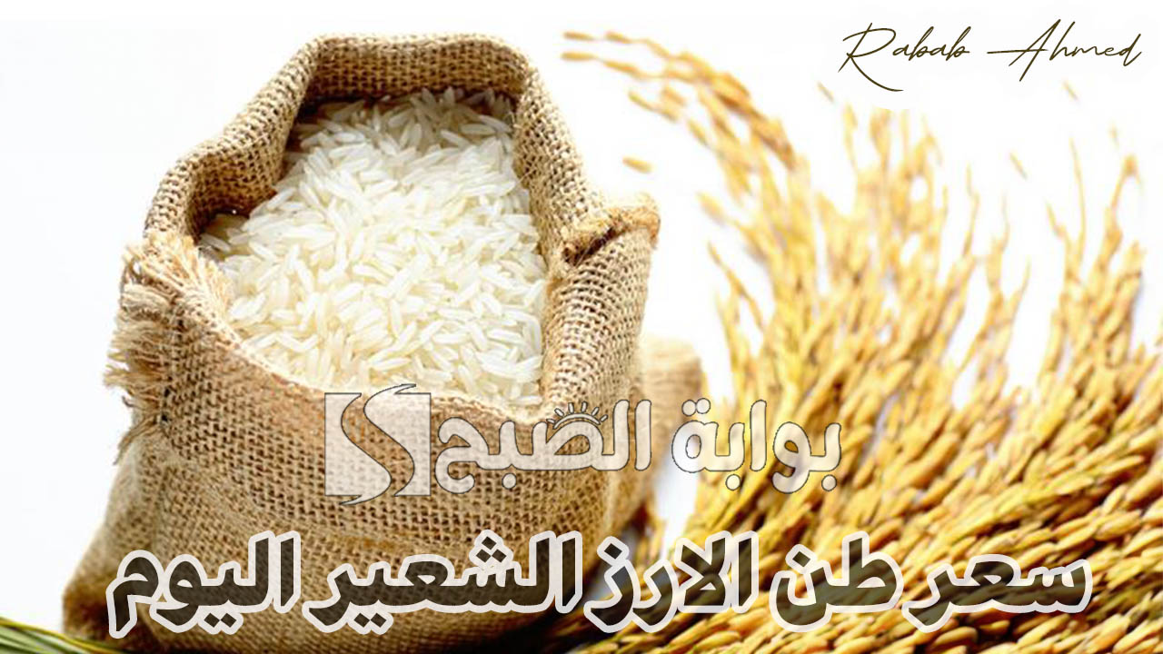 سعر طن الارز الشعير اليوم