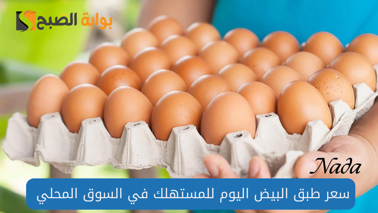 سعر كرتونة البيض الأحمر اليوم
