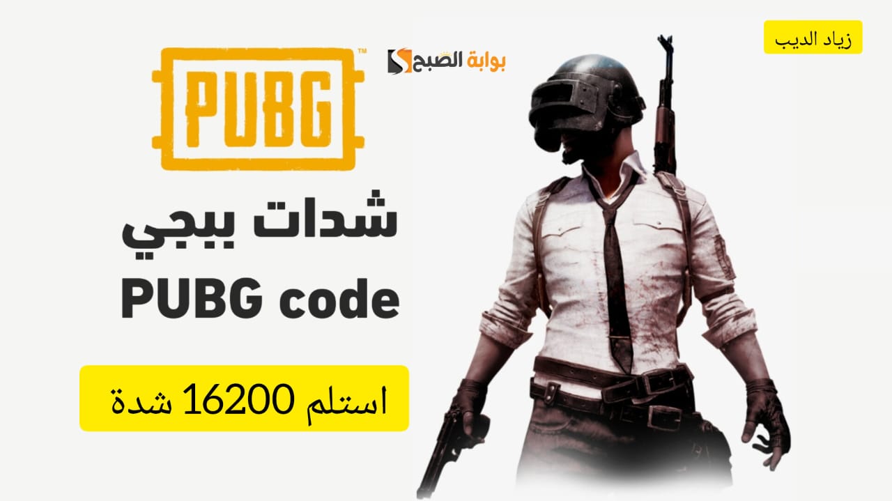 شحن شدات ببجي 1