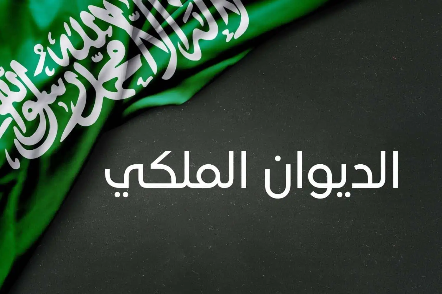 شروط الحصول على قطعة أرض مجانية من الديوان الملكي السعودي 1446